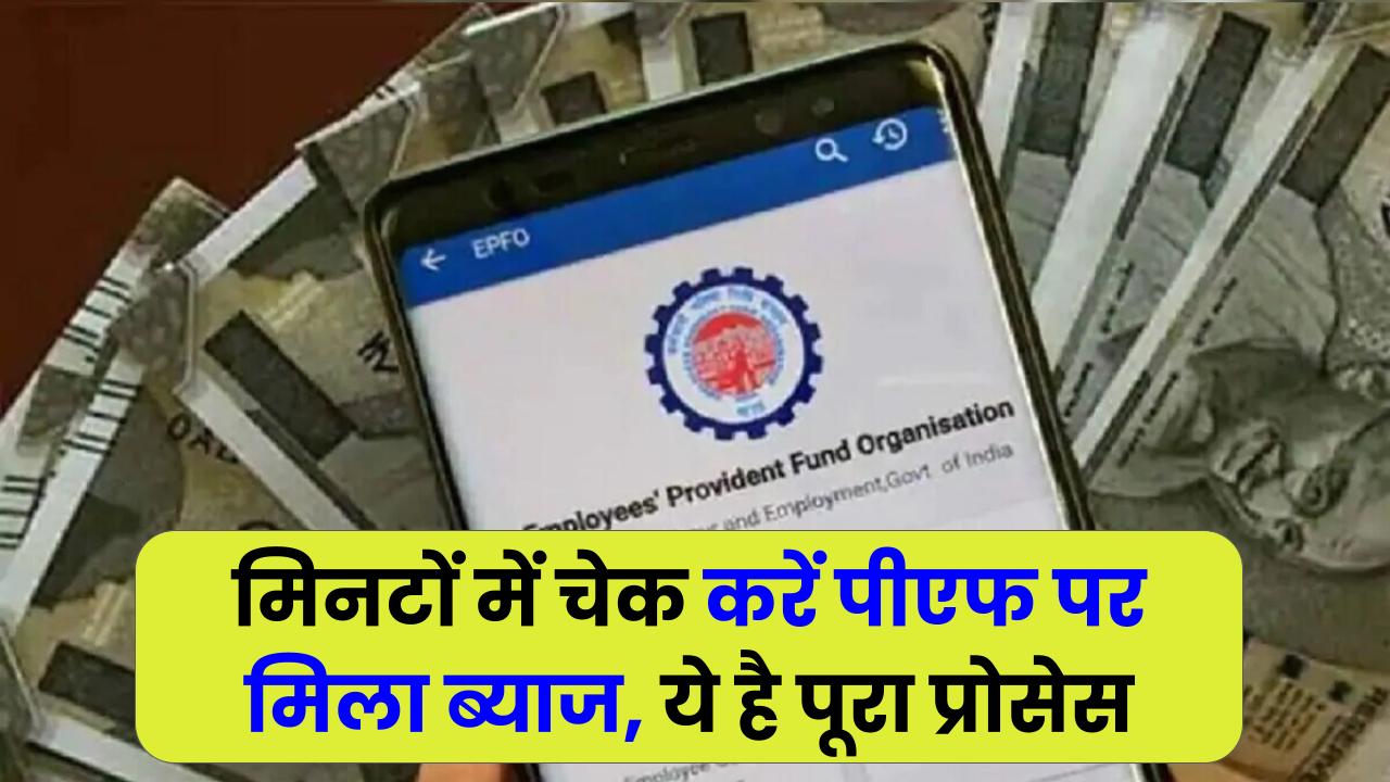 PF Interest Rate: मिनटों में ऐसे चेक करें अपने पीएफ पर मिला ब्याज, ये है पूरा प्रोसेस