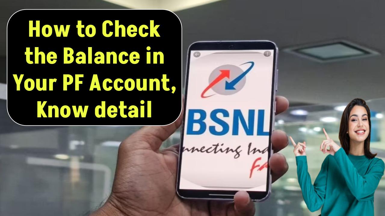 How to Check the Balance in Your PF Account, Know detail
